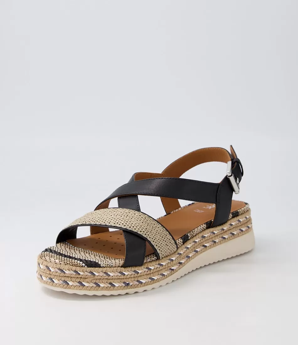 Women GEOX Comfort<D Eolie D Black Leather Sandals