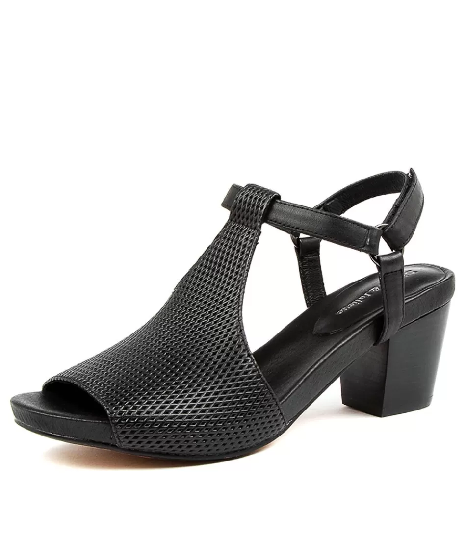 Women DJANGO & JULIETTE Heels<Zettie Black Leather